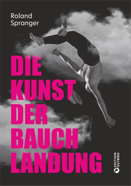 Die Kunst der Bauchlandung - Roland Spranger