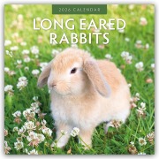 Long Eared Rabbits - Langohrhasen 2026 - 16-Monatskalender - Robin Red