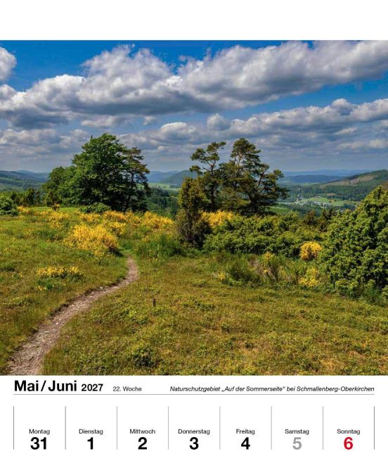 InsideView 12