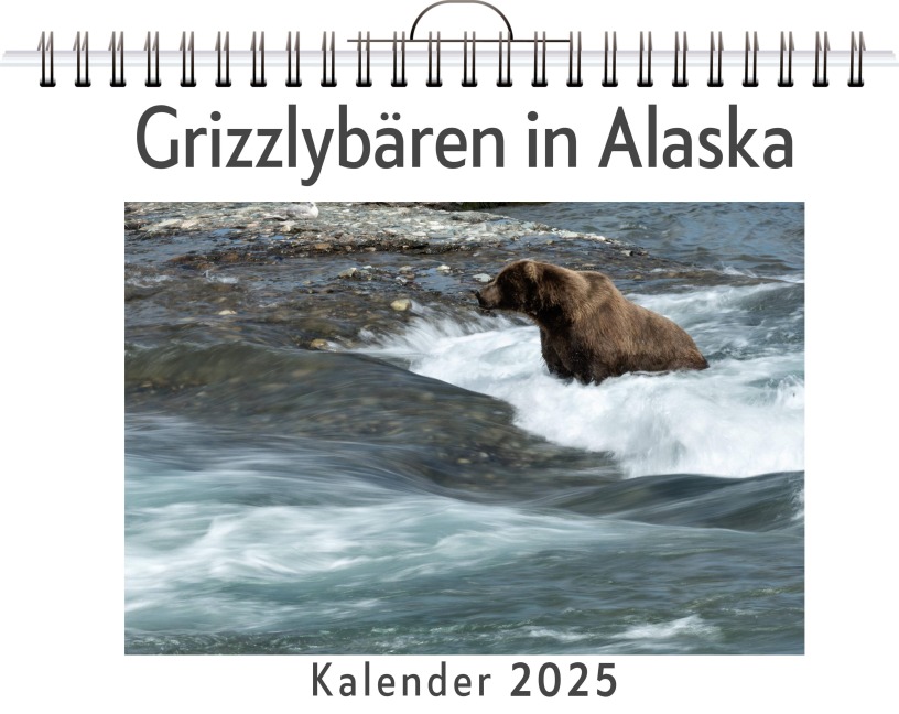 Grizzlybären in Alaska - Tim Horn