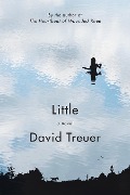 Cover-Bild zum Titel 'Little' von 'David Treuer'