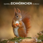 Cover-Bild zum Titel 'Eichhörnchen 2026' von ''