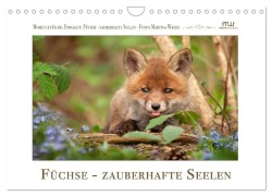Cover-Bild zum Titel 'Füchse - zauberhafte Seelen (Wandkalender 2027 DIN A4 quer), CALVENDO Monatskalender' von 'Martina Wrede - Wredefotografie'
