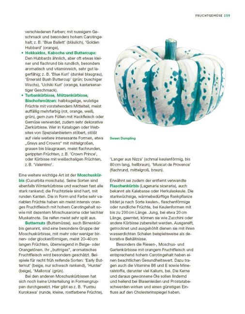 InsideView 13