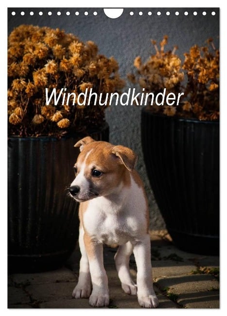 Windhundkinder (Wandkalender 2025 DIN A4 hoch), CALVENDO Monatskalender - Ula Redl