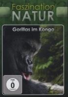 Gorillas Im Kongo - Various