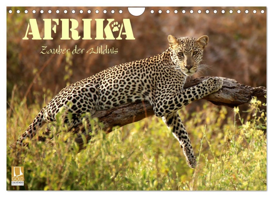Afrika - Zauber der Wildnis (Wandkalender 2026 DIN A4 quer), CALVENDO Monatskalender - Dirk Stamm