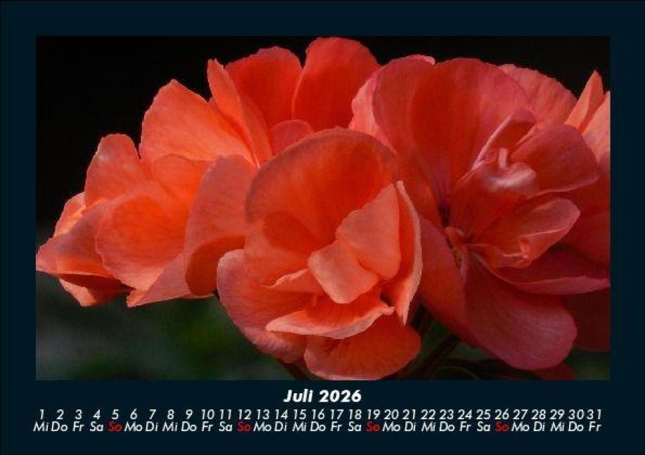 InsideView 11