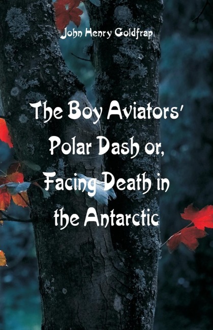 The Boy Aviators' Polar Dash - John Henry Goldfrap