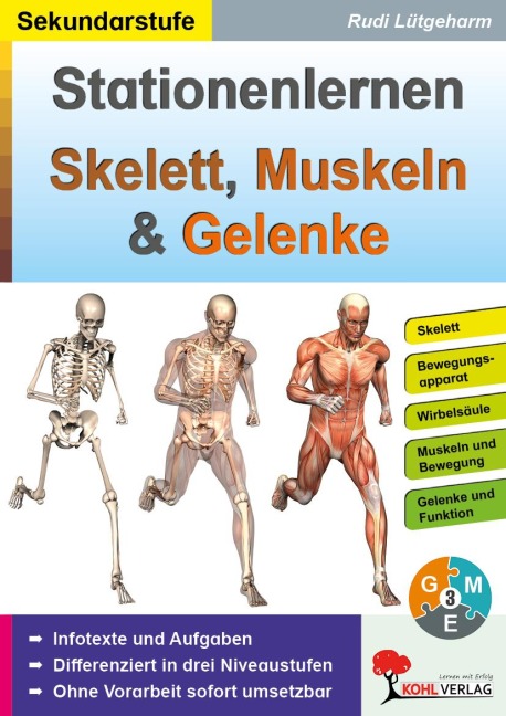Stationenlernen Skelette, Muskeln und Gelenke - Rudi Lütgeharm