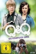 Cover-Bild zum Titel 'Q & Q' von 'Harrie Geelen, Joop Stokkermans'