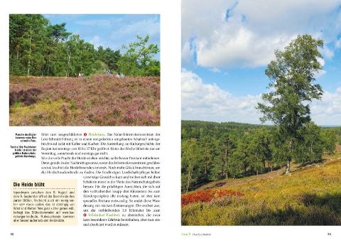 InsideView 7