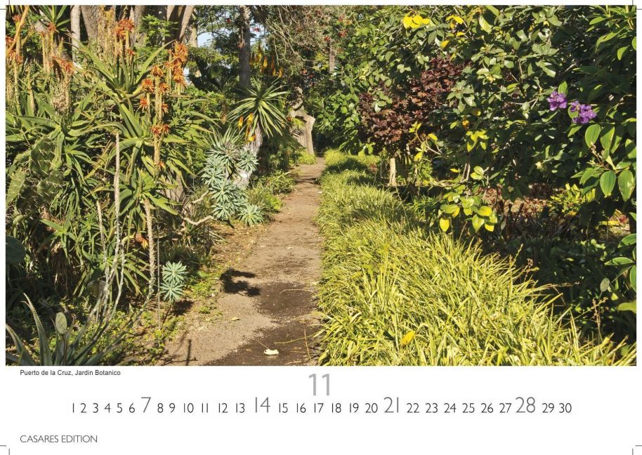 InsideView 11