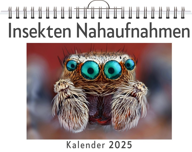 Insekten Nahaufnahmen - (Wandkalender 2025, Kalender DIN A4 quer, Monatskalender im Querformat mit Kalendarium, das perfekte Geschenk) - Zoe Weber