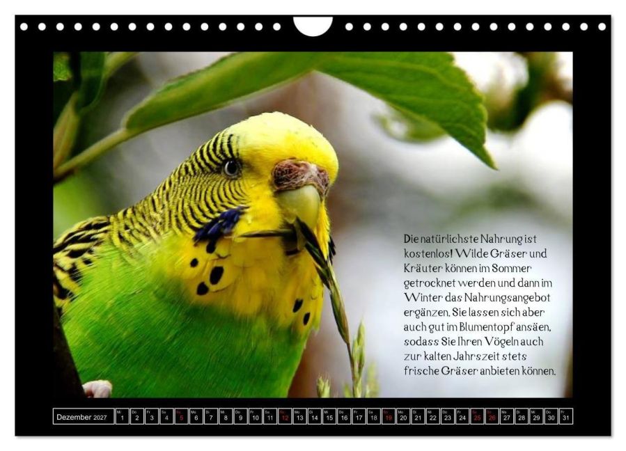 InsideView 4