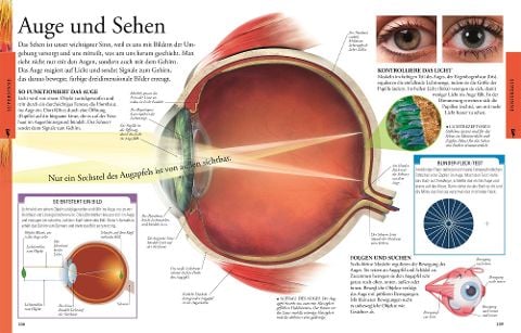 InsideView 7