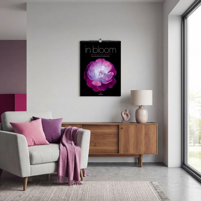 InsideView 14