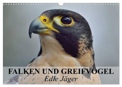 Cover-Bild zum Titel 'Falken und Greifvögel. Edle Jäger (Wandkalender 2026 DIN A3 quer), CALVENDO Monatskalender' von 'Elisabeth Stanzer'