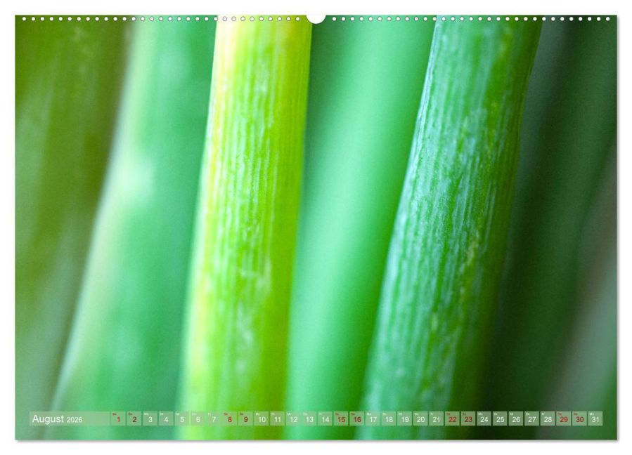 InsideView 12