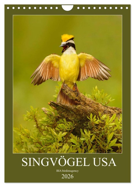 Singvögel USA (Wandkalender 2026 DIN A4 hoch), CALVENDO Monatskalender - Bia Birdimagency