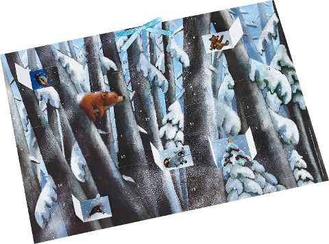 Winter im Bärenwald Adventskalender - Henrike Wilson