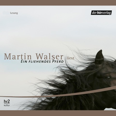 Ein fliehendes Pferd - Martin Walser