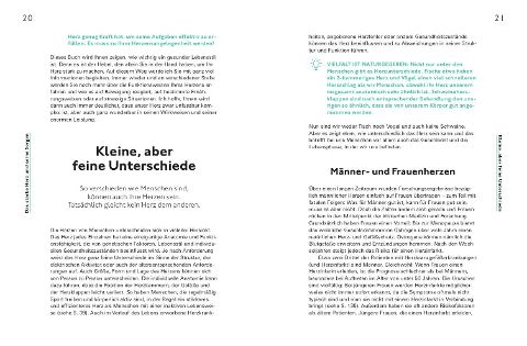 InsideView 2