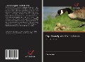 Cover-Bild zum Titel 'G¿¿ Kanadyjska: Pochodzenie:' von 'Yanzhe Wu'