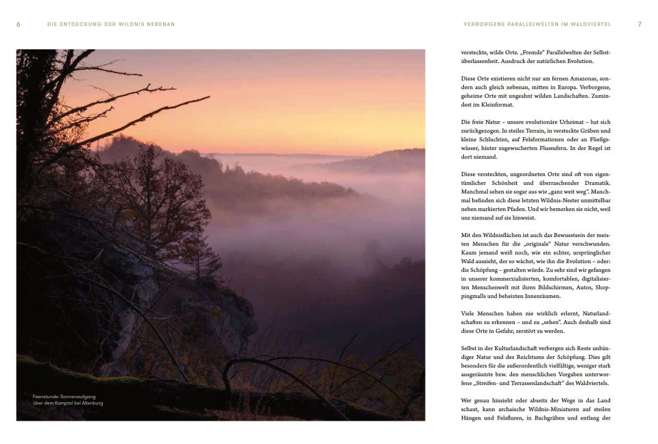 InsideView 13