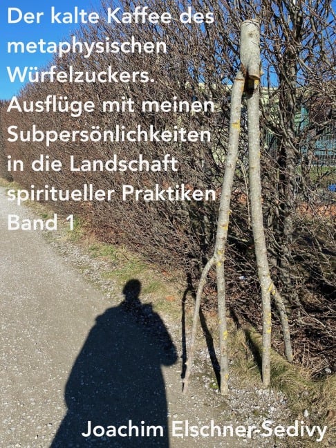 Der kalte Kaffee des metaphysischen Würfelzuckers (Ausflüge mit meinen Subpersönlichkeiten in die Landschaft spiritueller Praktiken, #1) - Joachim Elschner-Sedivy