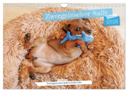 Cover-Bild zum Titel 'Zwergpinscher Sally's erstes Jahr (Wandkalender 2026 DIN A4 quer), CALVENDO Monatskalender' von 'Frank Elbe'