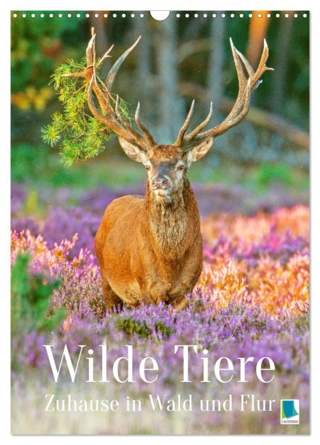 Wilde Tiere: Zuhause in Wald und Flur (Wandkalender 2026 DIN A3 hoch), CALVENDO Monatskalender - Calvendo Calvendo
