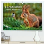Cover-Bild zum Titel 'Eichhörnchen - immer wieder süß (hochwertiger Premium Wandkalender 2026 DIN A2 quer), Kunstdruck in Hochglanz' von 'Peter Roder'