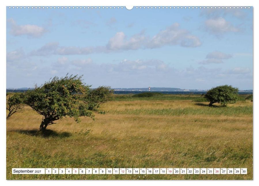 InsideView 14
