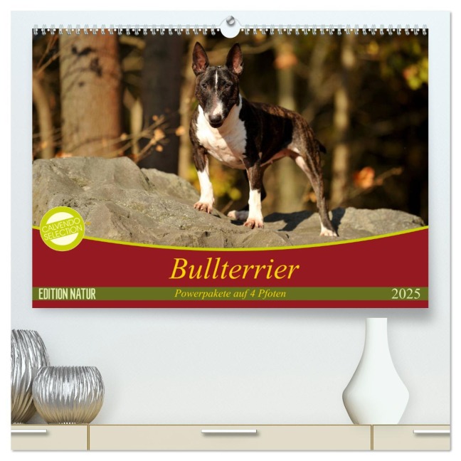Bullterrier, Powerpakete auf 4 Pfoten (hochwertiger Premium Wandkalender 2025 DIN A2 quer), Kunstdruck in Hochglanz - Yvonne Janetzek