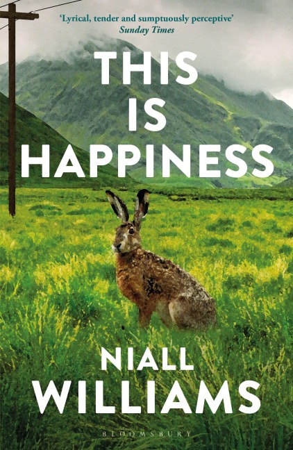 This Is Happiness - Niall Williams