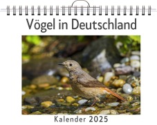 Cover-Bild zum Titel 'Vögel in Deutschland' von 'Max Vogel'