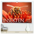 Insekten ganz gross (hochwertiger Premium Wandkalender 2025 DIN A2 quer), Kunstdruck in Hochglanz - Daniel Rohr
