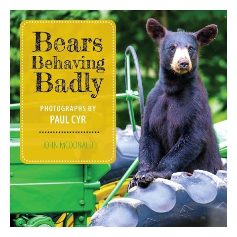 Bears Behaving Badly - John Mcdonald