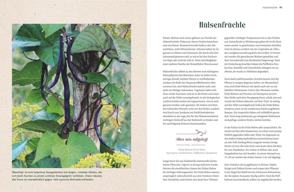 InsideView 5