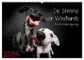 Die Stimme der Windhunde (Wandkalender 2024 DIN A2 quer), CALVENDO Monatskalender - Marcus Gier