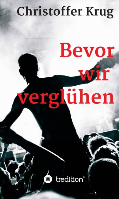 Bevor wir verglühen - Christoffer Krug