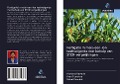 Cover-Bild zum Titel 'Fertigatie in maïs-een-ion teeltvolgorde met behulp van STCR-vergelijkingen' von 'Archana Kawade, Arun Tumbare, Vishal Panchal'