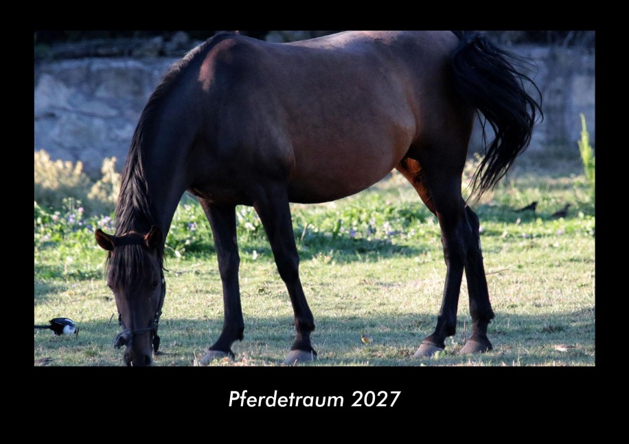 Pferdetraum 2027 Fotokalender DIN A3 - Tobias Becker