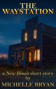 Cover-Bild zum Titel 'The WayStation' von 'Michelle Bryan'