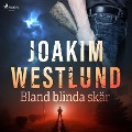 Cover-Bild zum Titel 'Bland blinda skär' von 'Joakim Westlund'