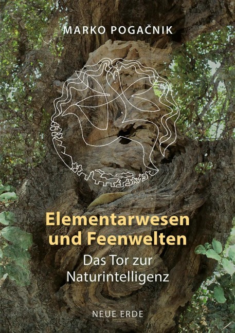 Elementarwesen und Feenwelten - Marko Poga¿nik