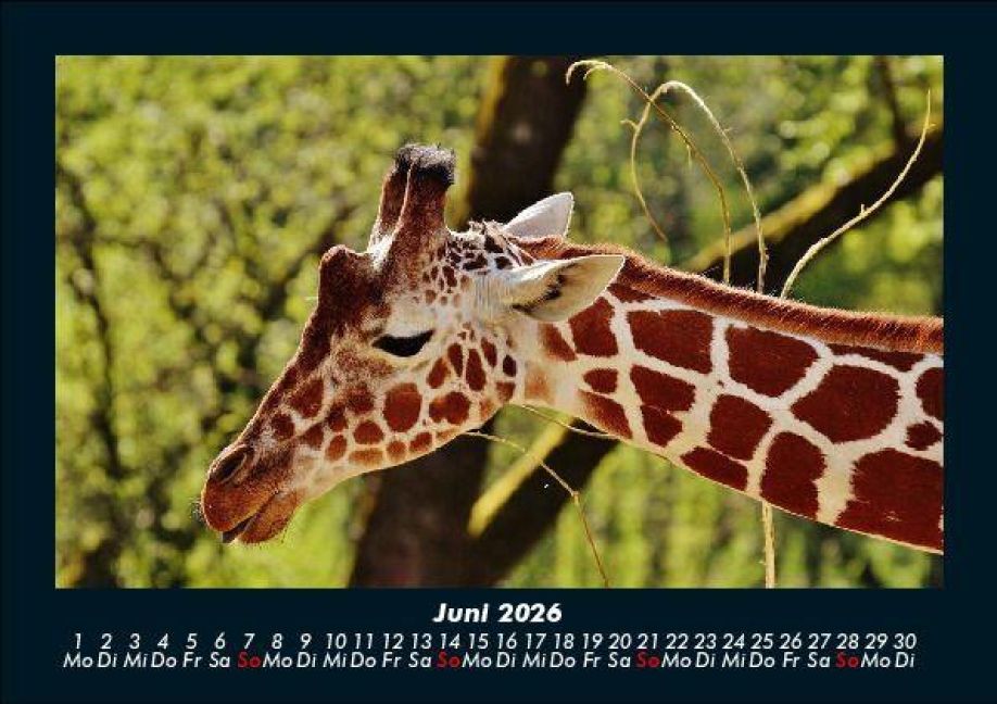 InsideView 10