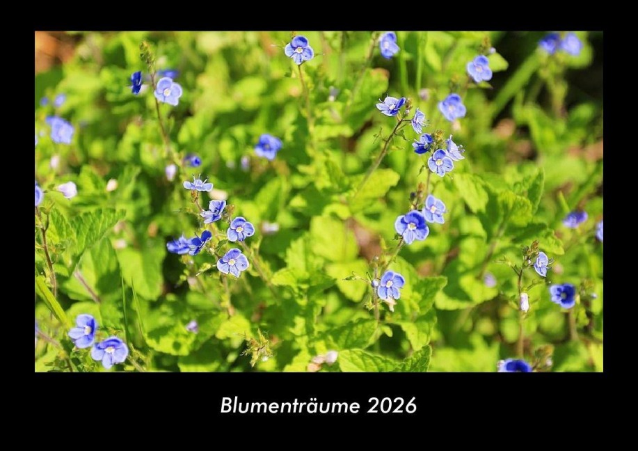 Blumenträume 2026 Fotokalender DIN A3 - Tobias Becker