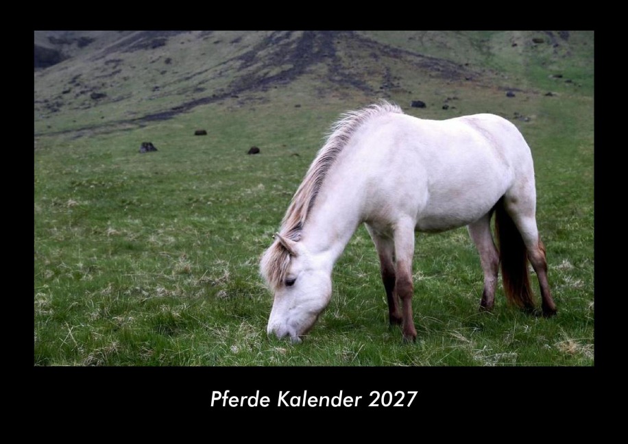 Pferde Kalender 2027 Fotokalender DIN A3 - Tobias Becker
